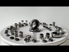 Grundfos GLF-SPK-12mm SPK 2/4 एयर कंडीशनिंग पंप मैकेनिकल सील बदलें