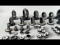BT AR 301 सिंगल एंड ड्राई रनिंग मैकेनिकल सील 12mm 14mm स्टेनलेस स्टील स्प्रिंग