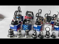 EA560D Burgmann पंप यांत्रिक सील WQ पनडुब्बी असंतुलित